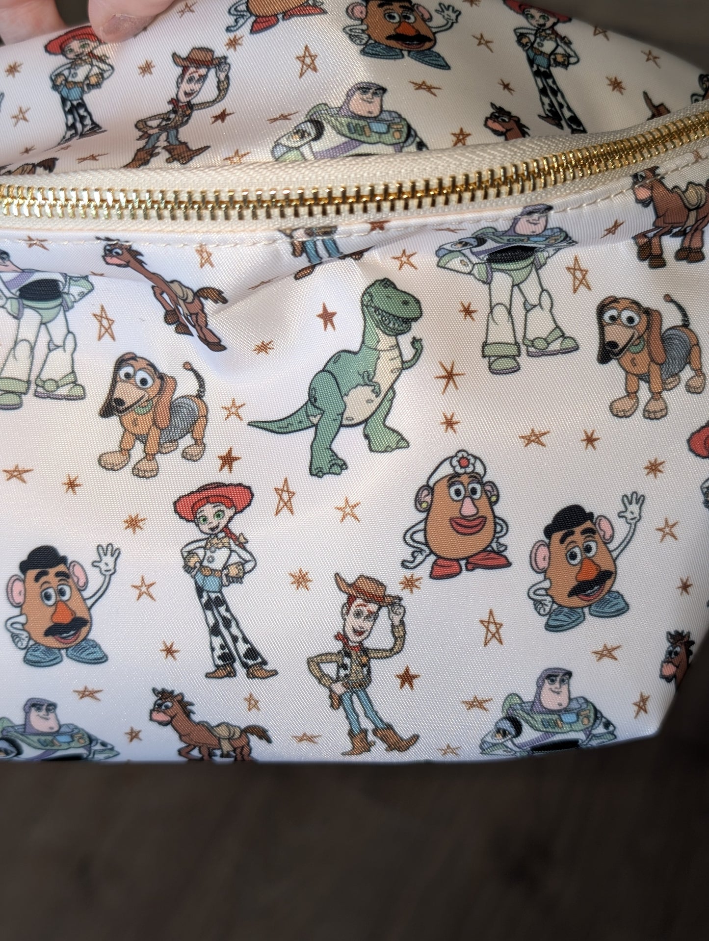 Toys Fanny Pack/ Bum Bag